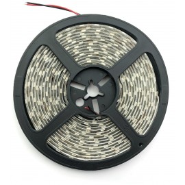 Avide LED Ταινία 24V 24W 6400K IP65 5m