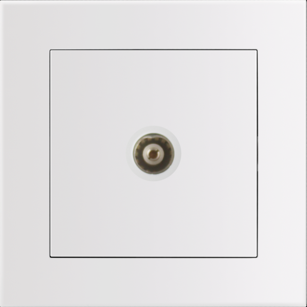 Entac Arnold Recessed wall TV socket End type White